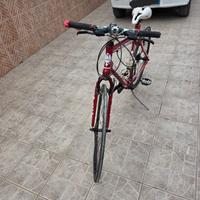 bicicletta