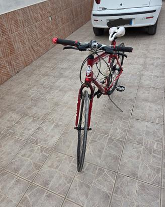 bicicletta