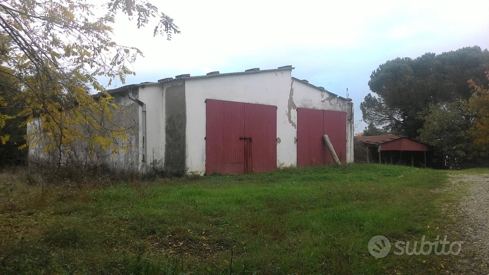 Capannoni e terreno - Vista 3