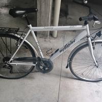 bicicletta da trekking wegabike