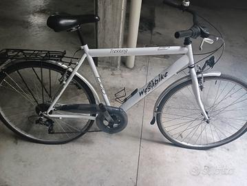 bicicletta da trekking wegabike