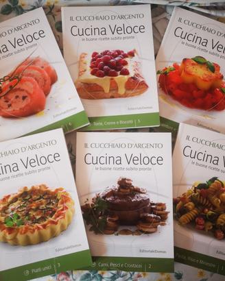Il cucchiaio d'argento - Cucina veloce sei volumi