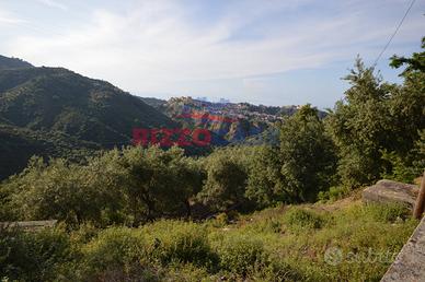 Terreno agricolo - Corigliano-Rossano