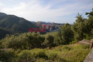 Terreno agricolo - Corigliano-Rossano