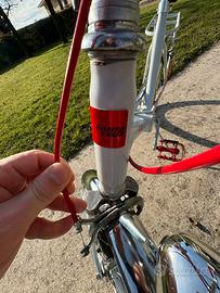 Bici grazeilla santa cruz