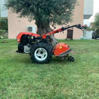 Motocoltivatore goldoni