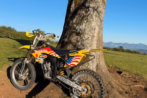 Suzuki rmz 250