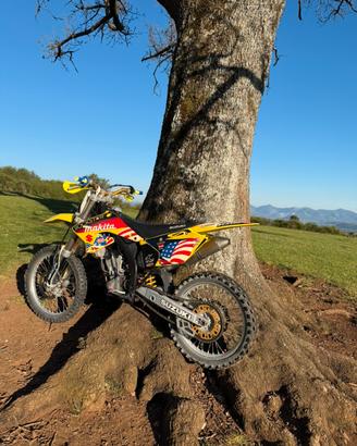 Suzuki rmz 250