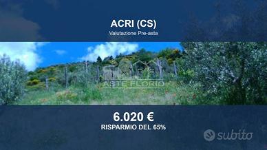 Immobile in asta di 10767 m² a Luzzi