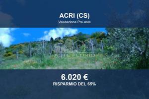 Immobile in asta di 10767 m² a Luzzi