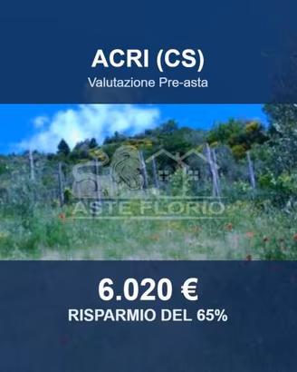 Immobile in asta di 10767 m² a Luzzi