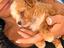 Immagine 6