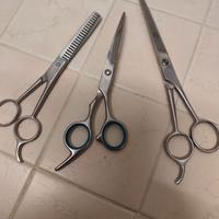 Forbici toelettatura dritta, curva, dentata