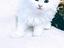 Immagine 6