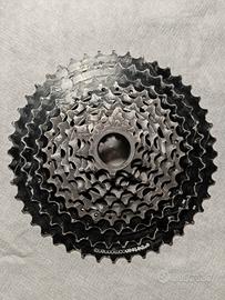 pignoni 11V E Thirteen