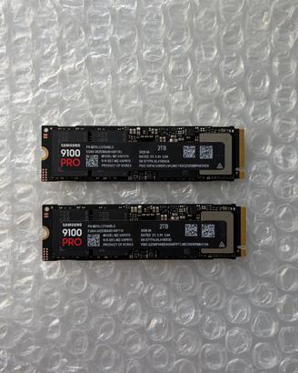 2X NUOVA Samsung 9100 PRO 2TB  + GARANZIA 5 Anni