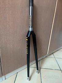 forcella carbonio time colnago 