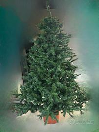 Albero di natale