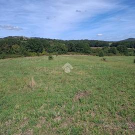 TER. AGRICOLO A TREVIGNANO ROMANO