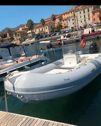 Gmmone Alson 7,20 mt motore Suzuky 175 4 tempi