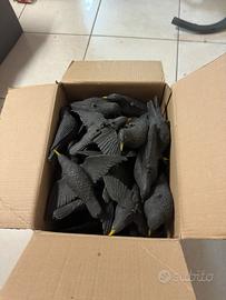 Stampi plastica storni