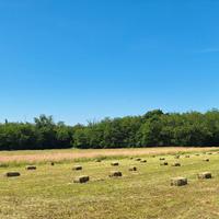 ballette fieno e ballette paglia