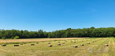 ballette fieno e ballette paglia