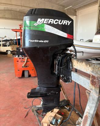 Mercury 40/60 EFY