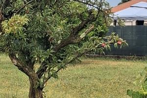 Terreno edificabile 700m³ gonars