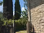 Immagine 15