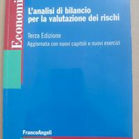 L'analisi di bilancio per la valutazione dei risch