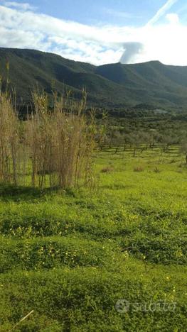 Agricolo a Alghero