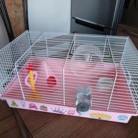 Gabbia criceto o animali similari + R€GALO