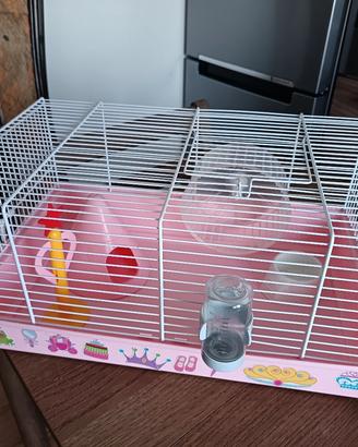 Gabbia criceto o animali similari + R€GALO