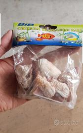 Conchiglie nuove per acquario