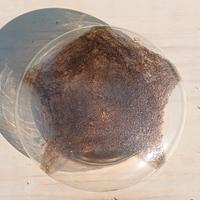 Lampadario/applique/plafoniera La Murrina 