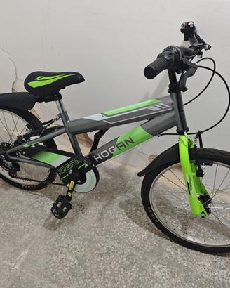 Mountain bike  20"  Bari
