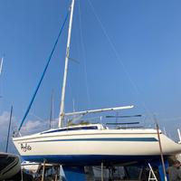 Barca a vela Delizia