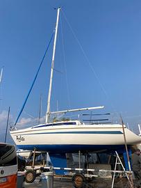 Barca a vela Delizia