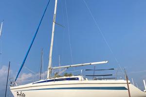 Barca a vela Delizia