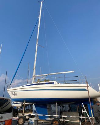 Barca a vela Delizia