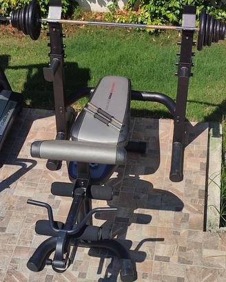 Panca Palestra Allenamento WEIDERPRO serie 290WC