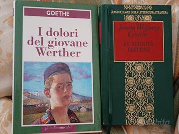 Lotto 2 libri Goethe 'Le affinità..'& 'I dolori..'