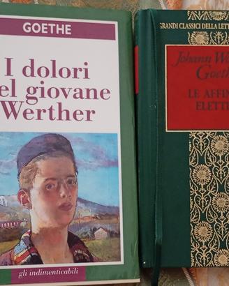 Lotto 2 libri Goethe 'Le affinità..'& 'I dolori..'