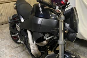 Buell xb12s