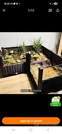 Casa per tartarughe di terra