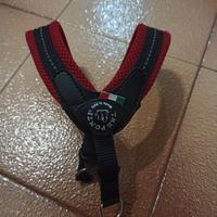 Collarino per cane traglia piccola..