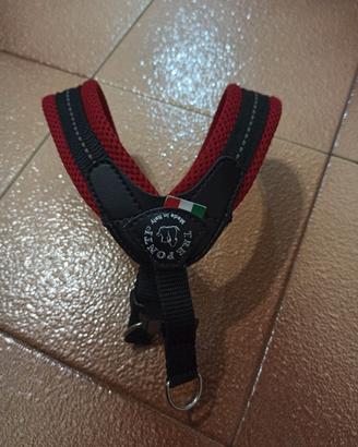 Collarino per cane traglia piccola..