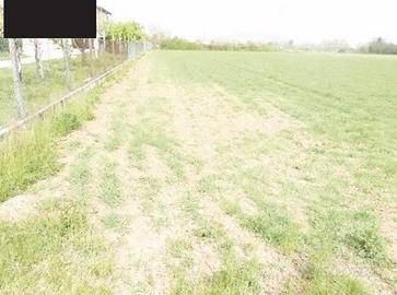 Immobile in asta di 25107 m² a Paese
