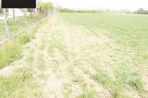 Immobile in asta di 25107 m² a Paese